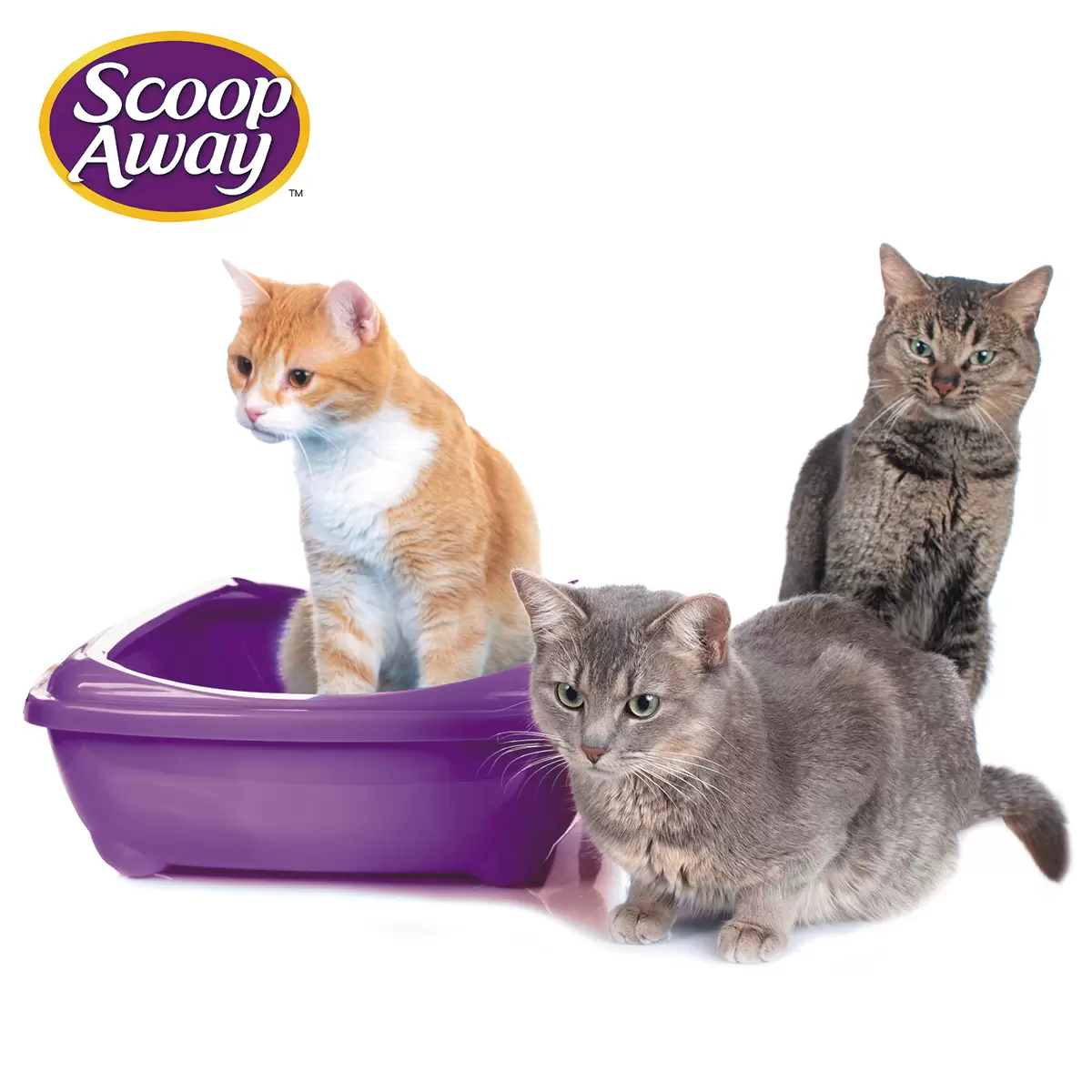 Scoop Away Complete Arena para Gatos 19 kg foto 3